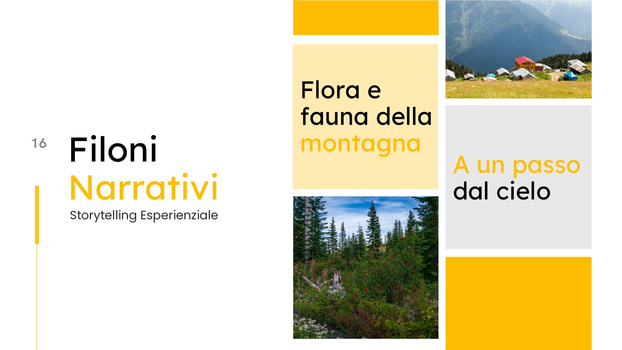 Slide dei filoni narrativi dedicati a flora e fauna alpina e alle comunità di alta quota