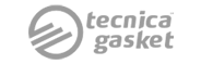 Logo Tecnica Gasket