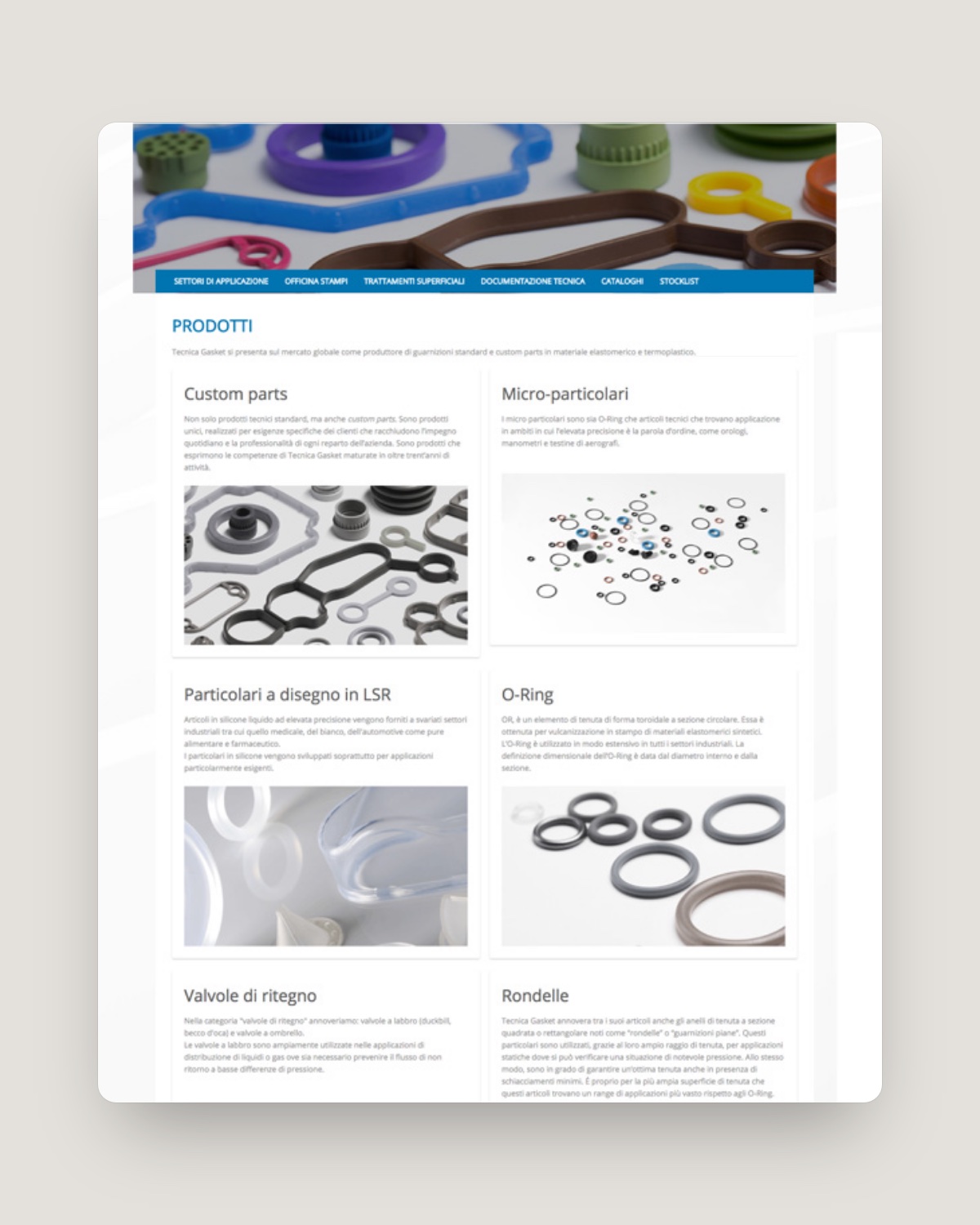 Dettaglio dell’interfaccia Tecnica Gasket