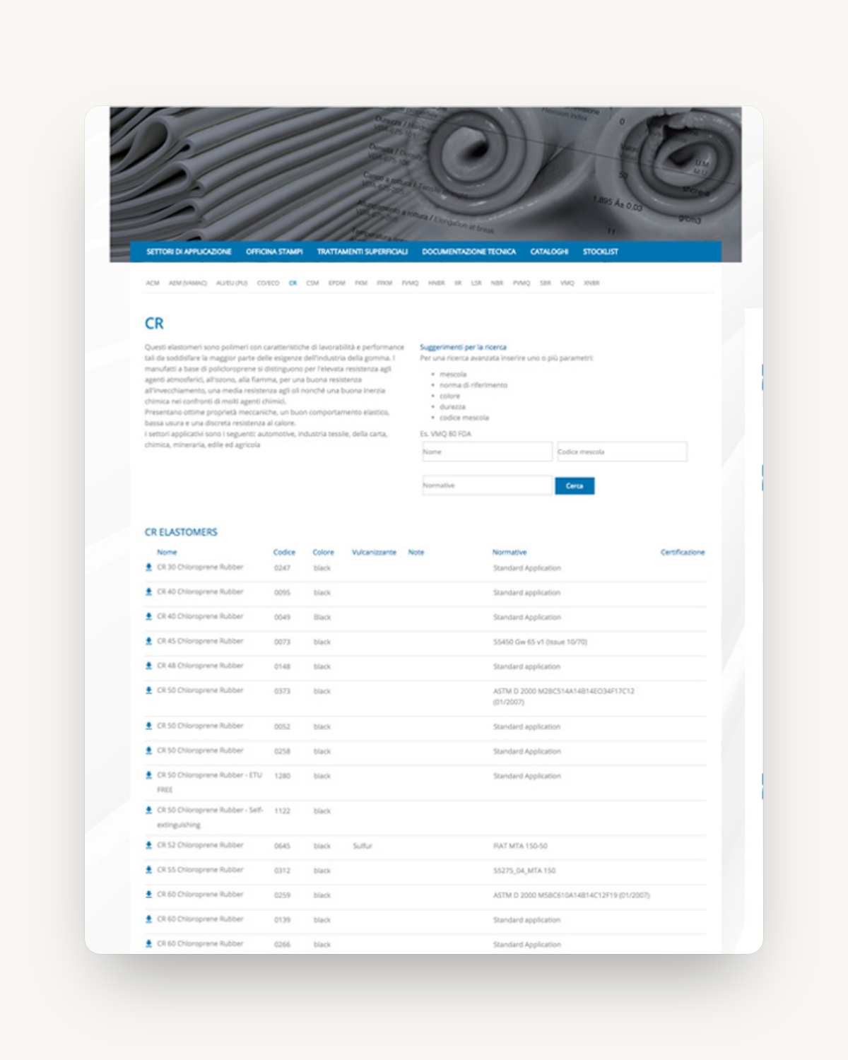 Dettaglio dell’interfaccia Tecnica Gasket